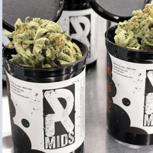 GMO (7g Flower) | Rhelm Mids - 7g