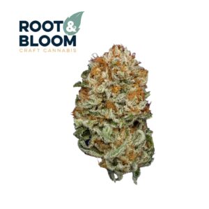 Angry Ginger (14g Flower) | Root & Bloom