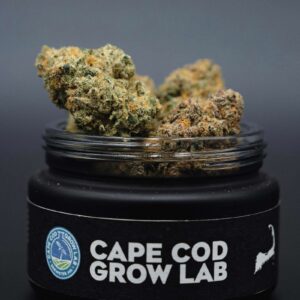 Cape White Shark (3.5g Flower) | Cape Cod Grow Labs