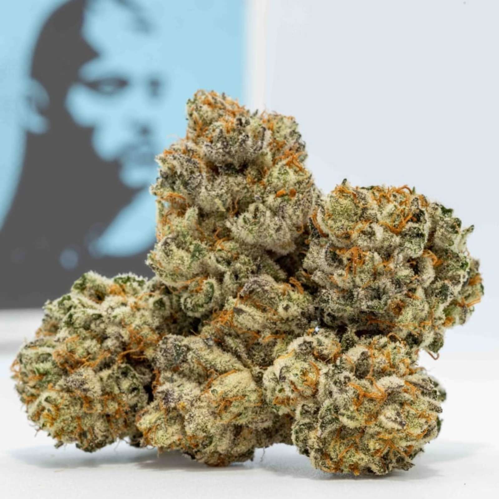 General Zod (3.5g Flower) | Rhelm