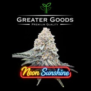 Neon Sunshine (3.5g Flower) | Greater Goods