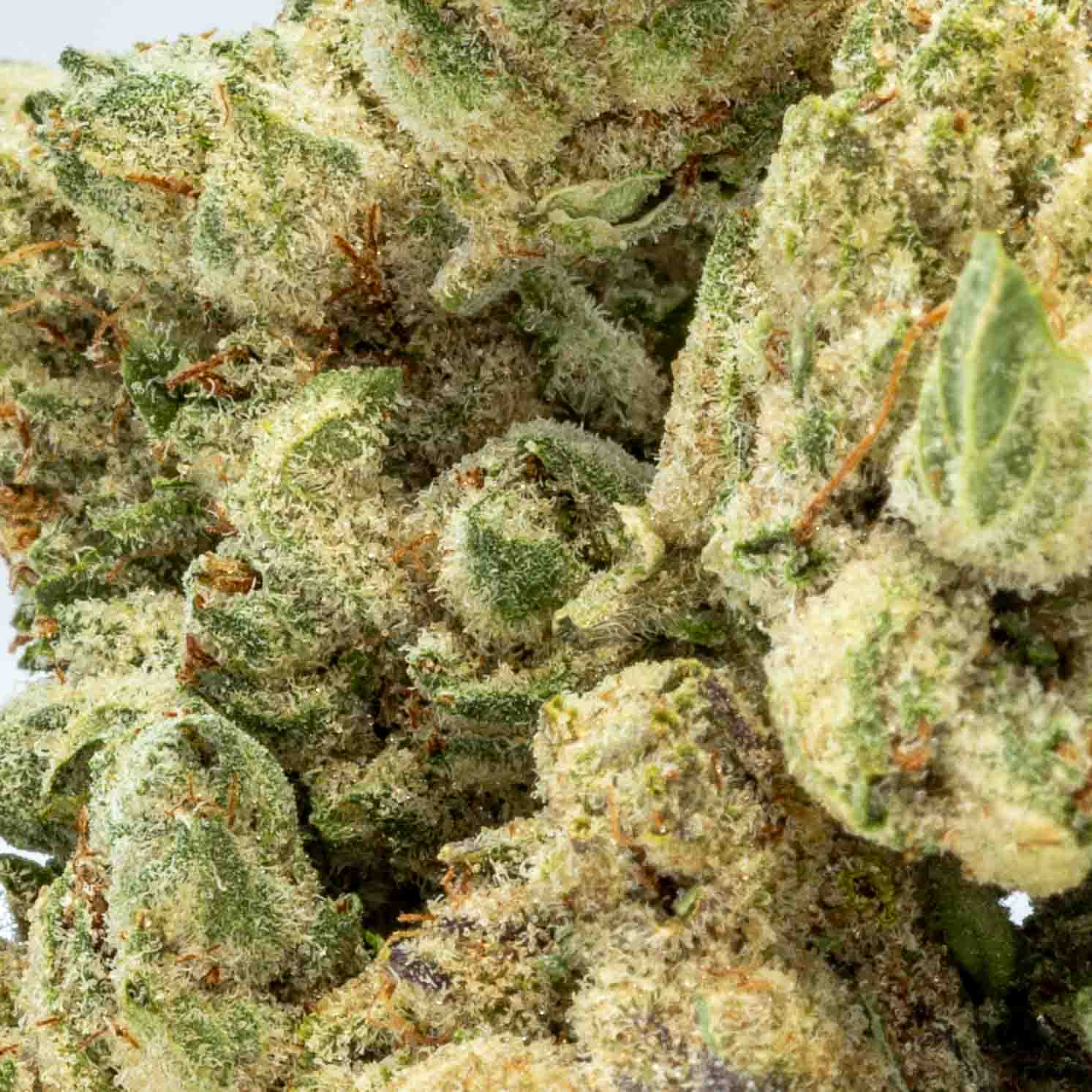 Kush Mints (3.5g Flower)