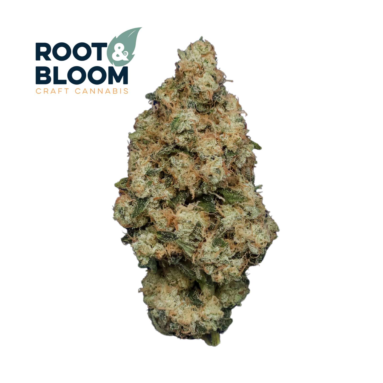 Ghost Dawg (14g Flower) | Root & Bloom