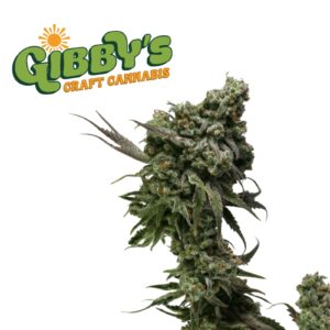 Trainwreck Arcata (3.5g Flower) | Gibby's Garden