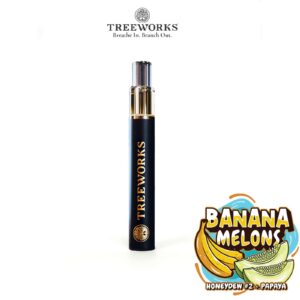 Banana Melons Live Rosin Wand (0.5g Disposable Vape) | Treeworks