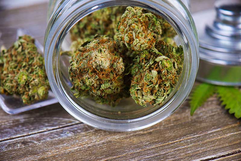 cannabis dispensary - photo of cannabis buds in jars