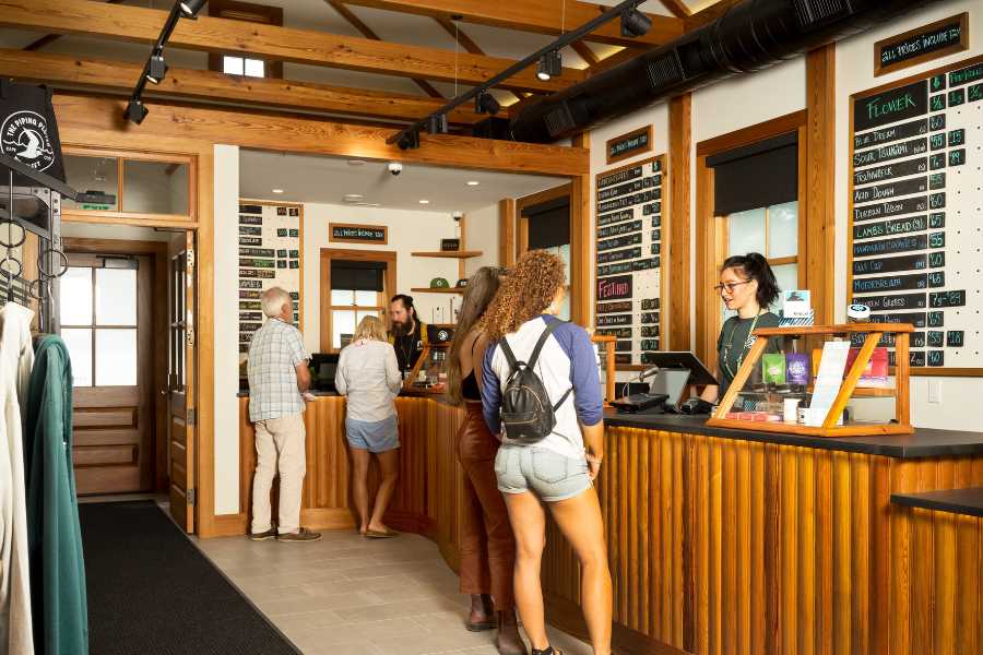 cape cod cannabis dispensary wellfleet ma