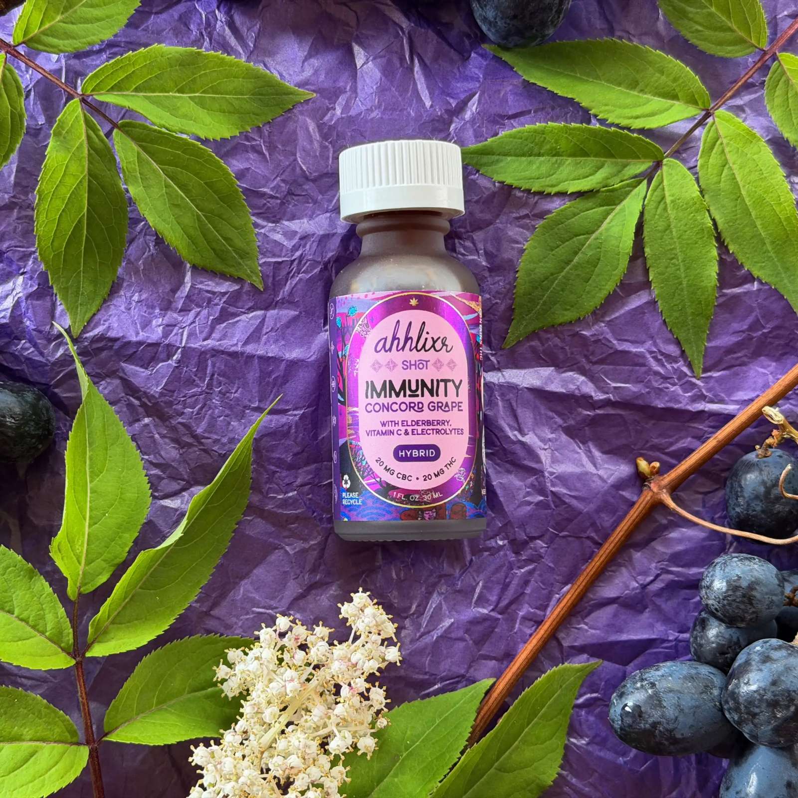 *Immunity* Concord Grape Wellness shot (20mg) | Ahh Moments