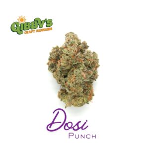Dosi Punch (3.5g Flower) | Gibby's Garden