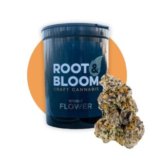 A La Mode (3.5g Flower) | Root & Bloom